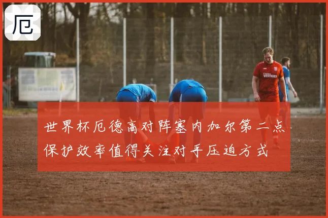 世界杯厄德高对阵塞内加尔第二点保护效率值得关注对手压迫方式