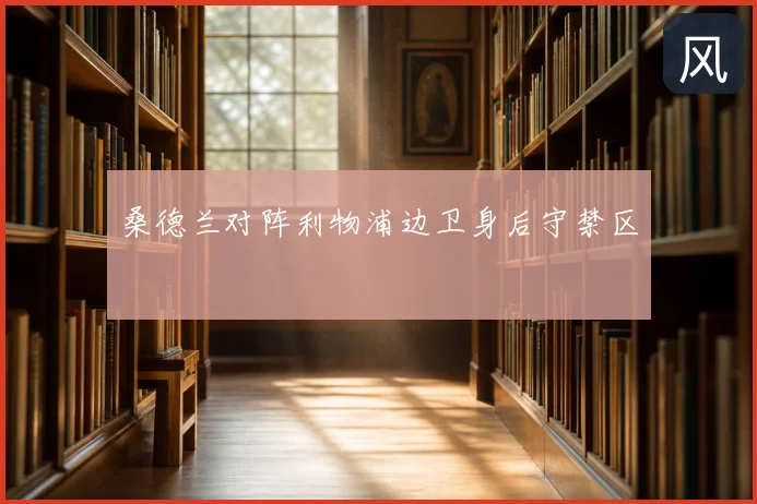 桑德兰对阵利物浦边卫身后守禁区